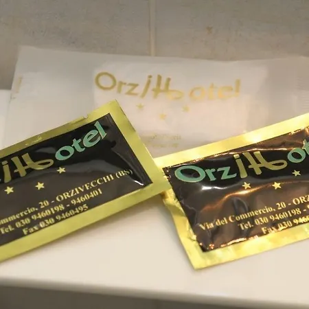 Orzihotel Hotel 3*