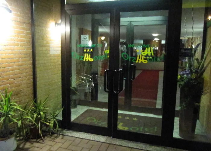 Orzihotel Hotell 3*