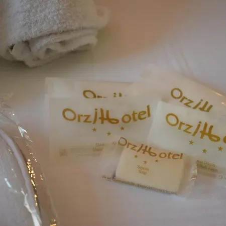 Orzihotel 3*