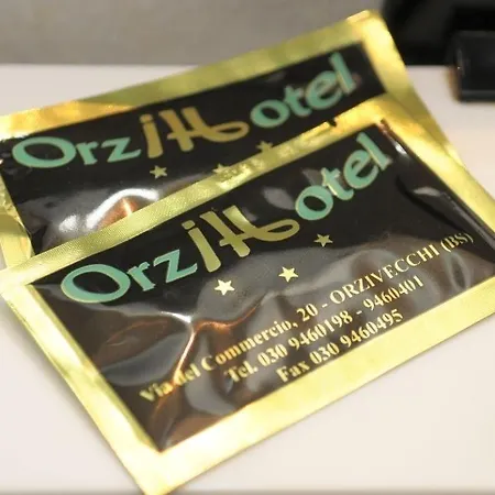 Hotell Orzihotel 3*