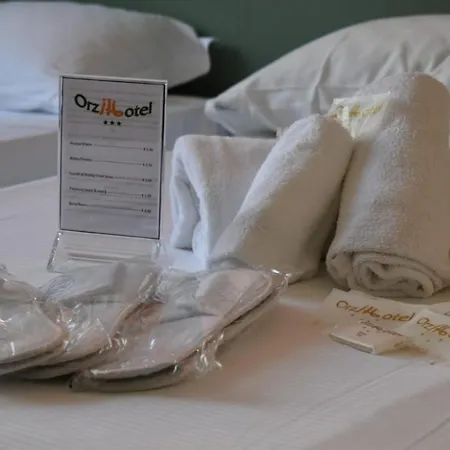 Hotel Orzihotel 3*